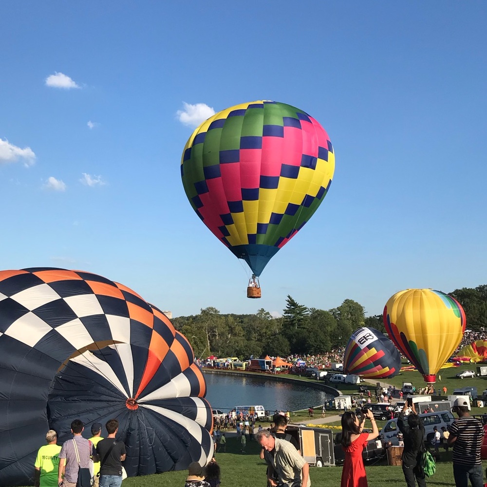 🌿Posh Ambassador🌿